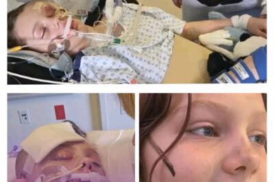 The Unbreakable Fight of Maya Gebala: A 12-Year-Old Hero’s Battle After the Tumbler Ridge Tragedy