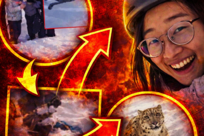 Tourist Severely Injured by Snow Leopard After Approaching for Selfie in Xinjiang; Viral Photo Shows Moments Before Attack