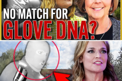 Sheriff’s Desperate Wait: Google Holds Key Footage That Could Crack Nancy Guthrie Abduction – While DNA Hits Dead End!