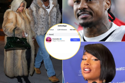 Stefon Diggs Follows Megan Thee Stallion Days After Cardi B Breakup Rumors