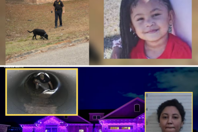 SHOCKING DISCOVERY UNDER SECRET TUNNEL NEXT TO HOME: Could Adrienne Reid Finally Face Murder Charges in Toddler Genesis’ Vanishing?