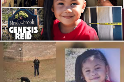SHOCKING TWIST: Mom’s Lies Exposed as Police Reveal Toddler Genesis Reid Vanished WEEKS Ago – What Really Happened to the Missing 2-Year-Old?