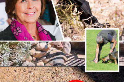 SHOCKING DISCOVERY: Bloodstained Clothes of Missing Nancy Guthrie Dumped in Remote Desert Lot 19 Miles from Home – “The Bloodstain on the Shirt Has Dried”