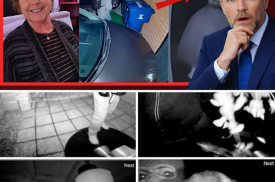 SHOCKING TWIST: Mysterious Male DNA Lurking Inside Nancy Guthrie’s Home – And the Glove Killer Left Behind Doesn’t Match ANY Criminal in America! Who Is the Masked Intruder?