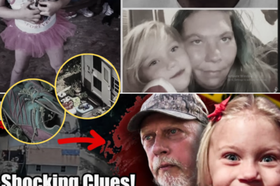 Shocking Clues: Don Wells Reveals a Detail That Could Shift the Summer Wells Investigation