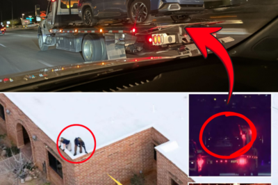 Investigators Tow Vehicle From Nancy Guthrie’s Property After FBI Activity Observed at Garage