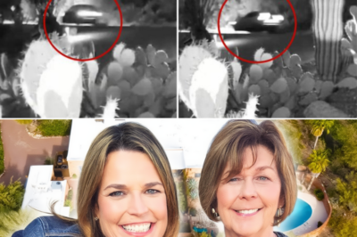 Newly Unreleased Neighbor Video Adds New Layer to Nancy Guthrie Investigation in Tucson