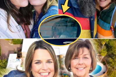 Nancy Guthrie Investigation: Law Enforcement Source Says Family Member Being Examined as Vehicle Is Impounded