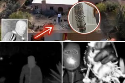 Smart Bathroom Mirror Reportedly Captures Late-Night Movement in Nancy Guthrie Case