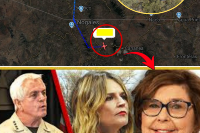 Timeline Review: Pacemaker Disconnect at 2:28 A.M., Private Jet Departure at 4:45 A.M. Raises Questions in Nancy Guthrie Case