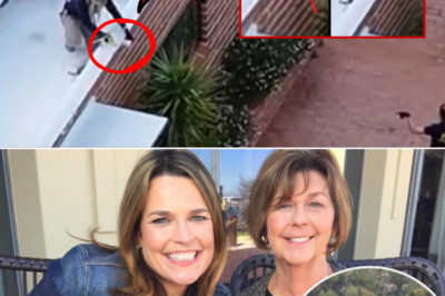 Apparent Camera Device Removed From Building on Nancy Guthrie’s Property Amid Ongoing Investigation