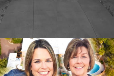 Neighbor Reports Suspicious 1 A.M. Sighting Near Nancy Guthrie Investigation Area