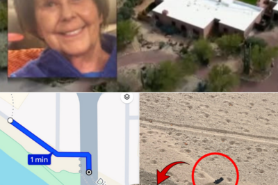 Black Glove Found Near Campbell Avenue Sparks Attention in Nancy Guthrie Investigation