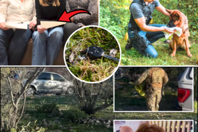 😨🧩 What Does the Buried Key Unlock? New Evidence Found in Hunt for Missing 84-Year-Old Nancy Guthrie