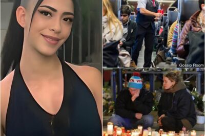 Family of 20-Year-Old Burn Victim Fined €384 on Swiss Train While Traveling to Her Hospital Bed in Germany