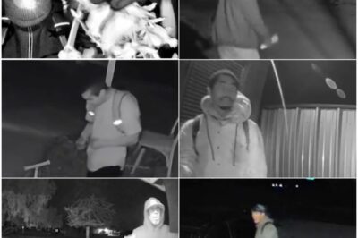 Faces Under Scrutiny: Who Investigators Are Looking At in the Nancy Guthrie Disappearance