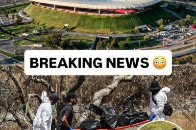 456 Bags of Human Remains Found Near FIFA World Cup Stadium in Mexico, Raising Global Questions