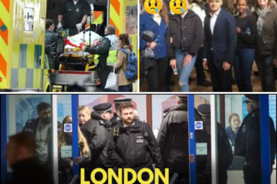 🔥⚠️ Routine Science Class Turns Into Nightmare After Knife-Wielding Teen Allegedly Sneaks Into School and Targets Young Pupils