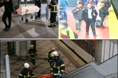 😨 Horrified Passengers Watched as a Young Woman Was Seized and Thrown Onto the Tracks Moments Before a Train Arrived in Hamburg 🚉