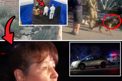 SHOCKING MIDNIGHT RAID: Police and K-9 Dogs Swarm Neighbor’s House Near Nancy Guthrie’s Home as Desperate Search for Missing 84-Year-Old Intensifies