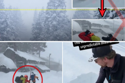 Horror in the Snow: Tour Company Finally Speaks Out as 9 Skiers Vanish in Deadly Tahoe Avalanche – Will They Be Found Alive? 🔥😱