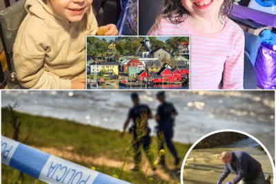 🚨🌲 FINAL UPDATE: RCMP Reveal Box With Stepfather’s Name Found in River After Lilly and Jack Sullivan Vanished Without a Trace