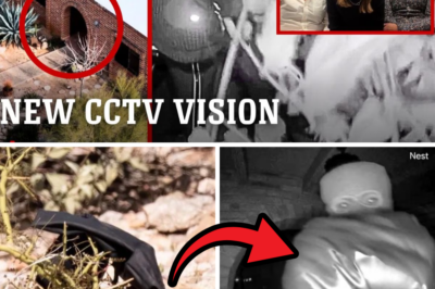 Desperate Hunt Turns Up Chilling Clue: Black Glove Dumped by Roadside – Experts Say It Could Be the Kidnapper’s Fatal Discard in Nancy Guthrie Abduction Nightmare!