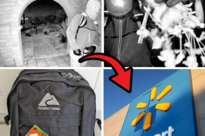 Sheriff: Suspect’s Mask and Clothes Believed Bought at Walmart in Nancy Guthrie Disappearance