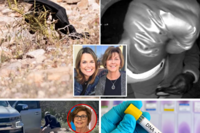 DNA Breakthrough in Nancy Guthrie Case: Glove Near Home Yields Suspect’s Profile, Matching Doorbell Camera Evidence