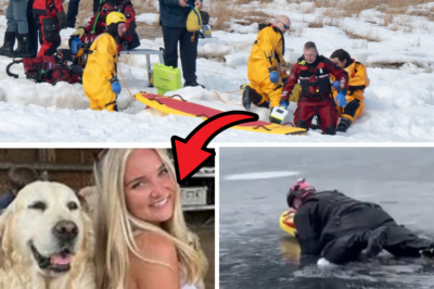 Haunting Final Words in Eastham Ice Tragedy: Witness Recalls Woman’s Last Cry – “Save My Husband, He Knows How to Swim” – as Search for Missing Man Remains Suspended