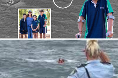 Mystery Surrounds Heroic Sea Rescue: GPS Anomaly in Austin Appelbee’s Drift Prompts Authorities to Reopen Investigation Amid Shark Concerns