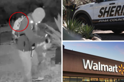 Walmart Steps In to Aid Nancy Guthrie Investigation: Retailer Reveals Key Detail on Suspect’s Discontinued Ozark Trail Backpack, Helping Narrow Suspect Pool