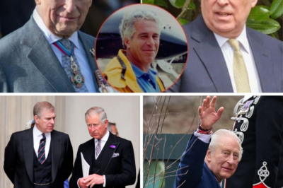 KING CHARLES BREAKS HIS SILENCE: “The Law Must Take Its Course” – Monarch’s Bombshell Statement After Brother Andrew’s Shock Arrest on Epstein Files Bombshell! Palace in Crisis as Charles Vows Full Cooperation Amid Life-Sentence Threat!