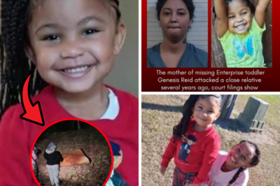 Mother of Missing Toddler Genesis Reid Exposed: Shocking Prior Violent Past Revealed as Police Drop Bombshell – 2-Year-Old Still Vanished After Weeks of Agonizing Search