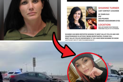 Shianne Turner’s Fiancé Reveals Chilling Detail: She Was ‘Nervous’ About Meeting Former Coworker Just Weeks Before Vanishing