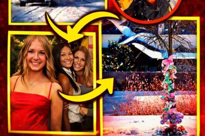 Tragic Sledding Accident Claims Lives of Two Texas Teens: Personal Items Near Wreckage Point to Sudden, Violent End