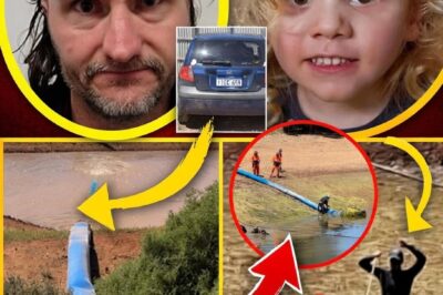 Police conducted a comprehensive forensic sweep of the homestead and outbuildings, removing several objects for analysis, including a vehicle, a motorcycle, and electronic devices