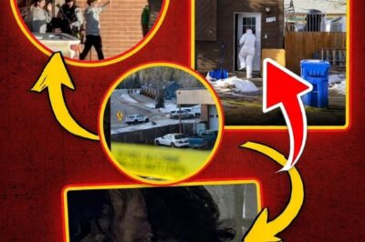 Archived posts and deleted accounts on platforms like YouTube and Reddit showed a teenager grappling with deep personal struggles