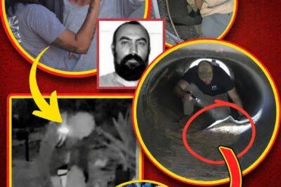 Unverified ransom notes demanding millions in Bitcoin surfaced, with deadlines passing sans proof-of-life or authenticated contact