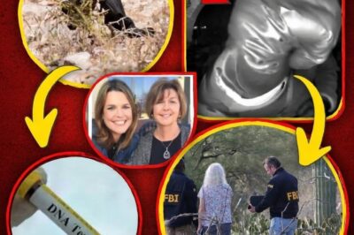 Crime profilers have described the suspect’s actions, methodical camera obstruction, calm demeanor, and apparent familiarity with the property