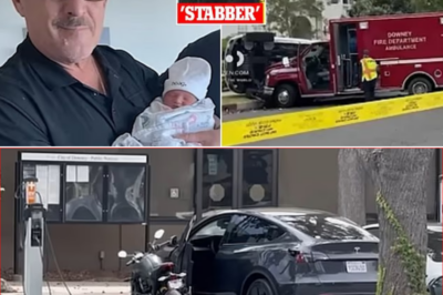 😱🚨 Tesla Owner Stabbed To Death While Charging Outside Library—But The Horror Didn’t End There: Another Homeless Man Allegedly Stole The Ambulance Meant To Save Him