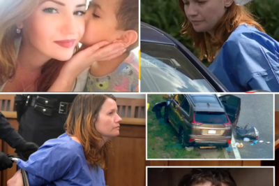 ⚖️ Meth, Custody Battles, and a Fatal Wrong-Way Crash — Community Reels After Child Dies on Southern State Parkway 🚔🕯️