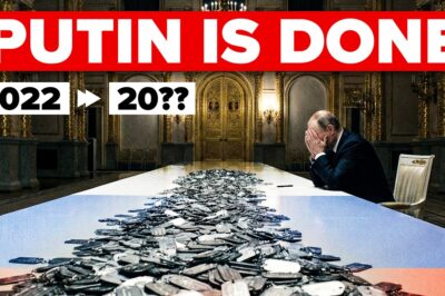 Fertility has plunged to historic lows (around 0.9 to 1.0 children per woman), driven by displacement