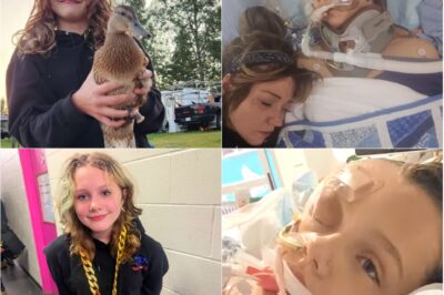 Tumbler Ridge Shooting Survivor Maya Gebala Opens Eyes, Moves Hands in ‘Fragile Miracle’ After Weeks in Coma