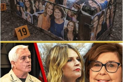 The Nancy Guthrie Disappearance: A Heart Device’s Final Signal Leads to a Gruesome Discovery