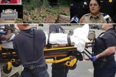 Initial response included widespread searches involving local, state, and federal agencies, including the