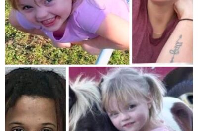 According to the Marion County Sheriff’s Office (MCSO), the sequence of events began in the early