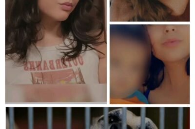 The San Bernardino County Sheriff’s Department Colorado River Station responded around 3:30 p.m