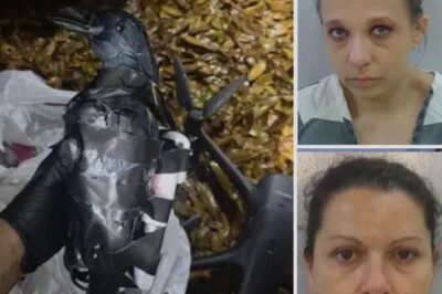 The method involved modifying plastic crow decoys—realistic bird replicas commonly used by hunters or for pest control