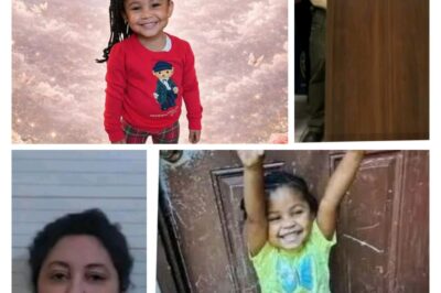 Further investigation revealed Genesis had not been seen since Christmas Day